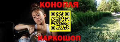МДПВ Гусев