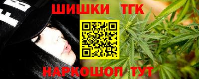 МДПВ Гусев