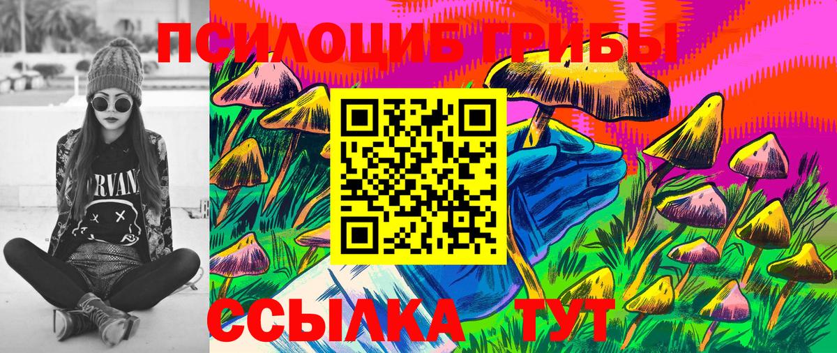 купить закладку  Галлюциногенные грибы Magic Shrooms  Вход с VPN  Можга  Псилоцибиновые грибы прущие грибы 